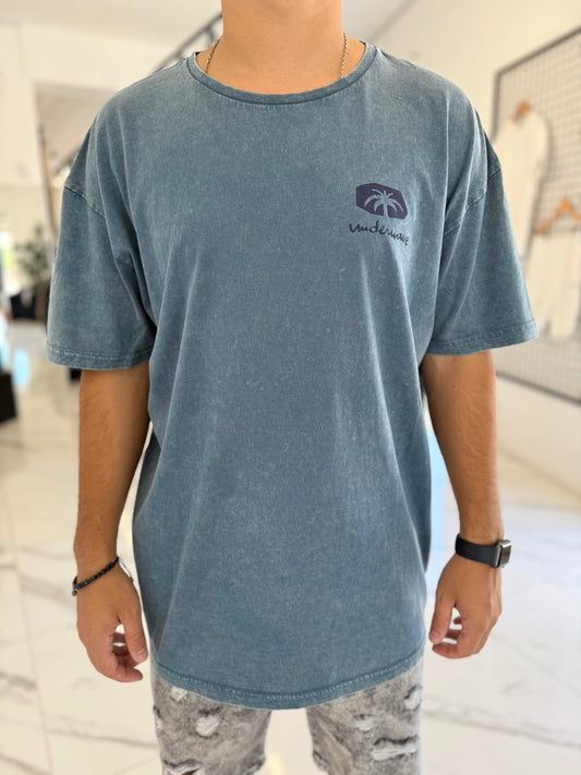 Remera oversize gastada azul “Samambaia”