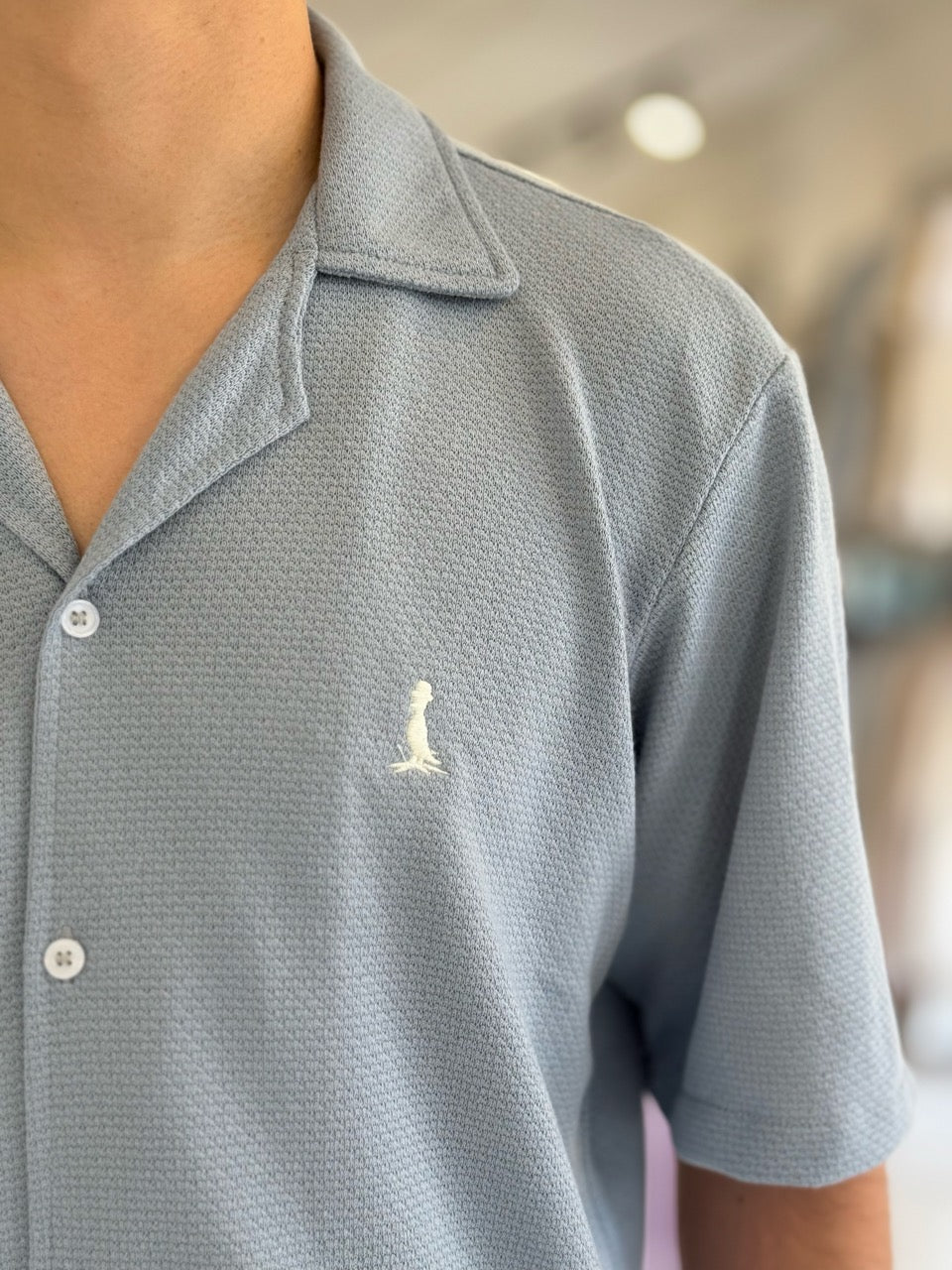 Camisa tejida "Belgrano"