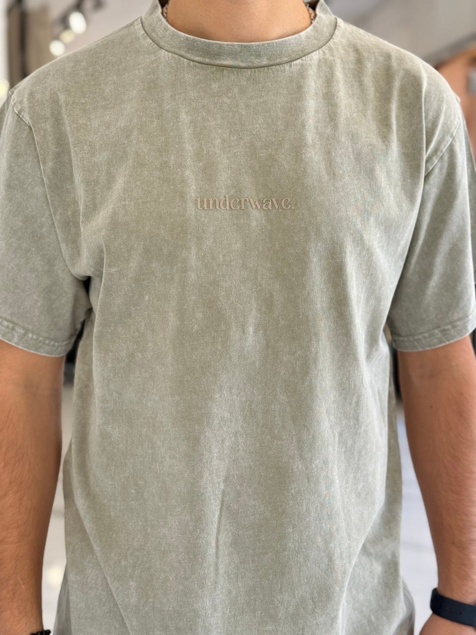 Remera oversize gastada “Senecio”